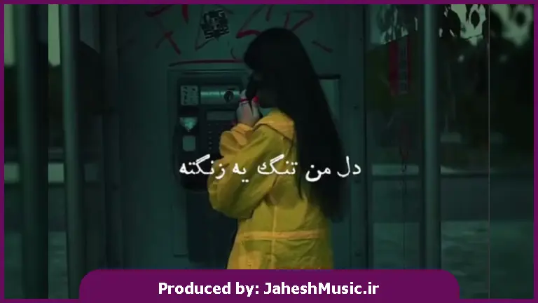 دانلود آهنگ دیگ آخرشه (گل میخرم واست پر پر کن عشقم) 